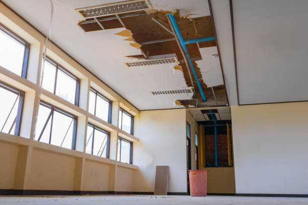 Best Flood damage cleanup  in Chelsea, MI