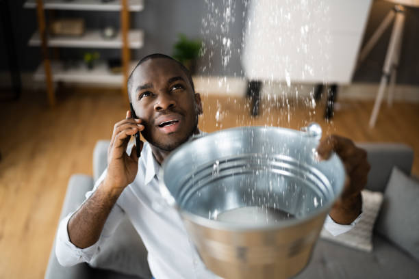 Best 24/7 water damage repair  in Chelsea, MI