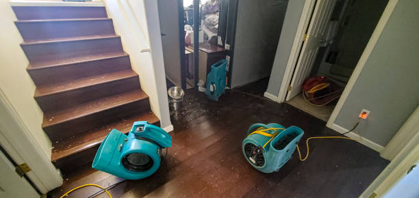 Best Fire Damage Restoration  in Chelsea, MI
