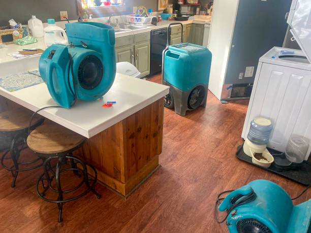 Best Water damage contractors near me  in Chelsea, MI