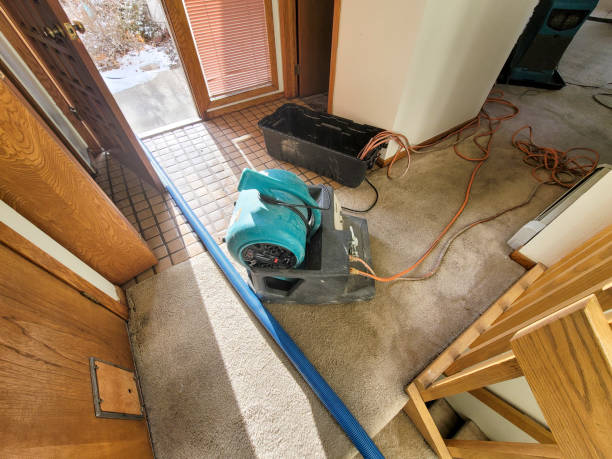  Chelsea, MI Water damage restoration Pros