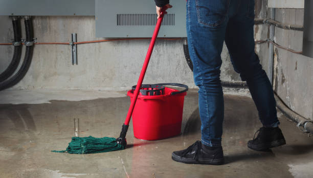 Best Sewage cleanup and water damage restoration  in Chelsea, MI