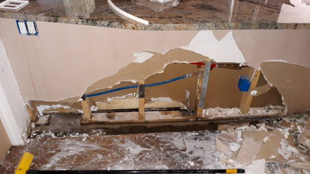 Best Carpet water damage restoration  in Chelsea, MI