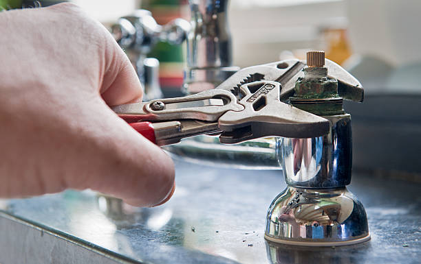 Best Ceiling water damage repair  in Chelsea, MI