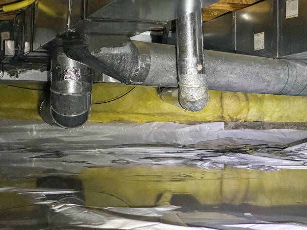 Best Water damage cleanup near me  in Chelsea, MI