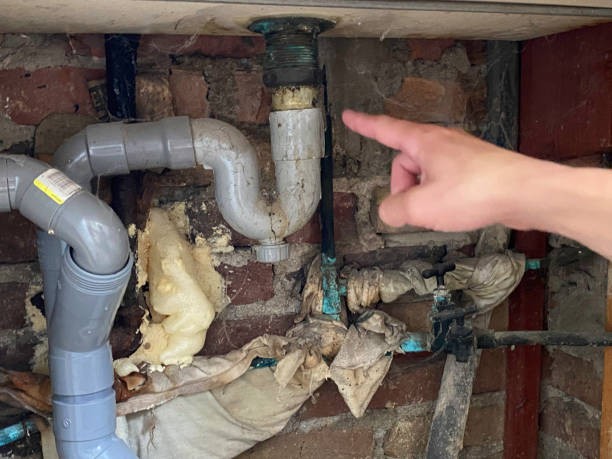 Best Flood damage cleanup  in Chelsea, MI