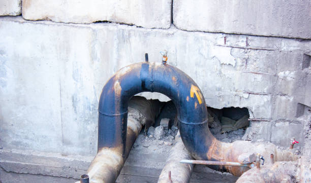 Best Local water damage restoration  in Chelsea, MI