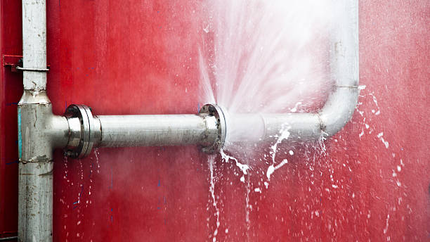 Best Commercial water damage restoration  in Chelsea, MI